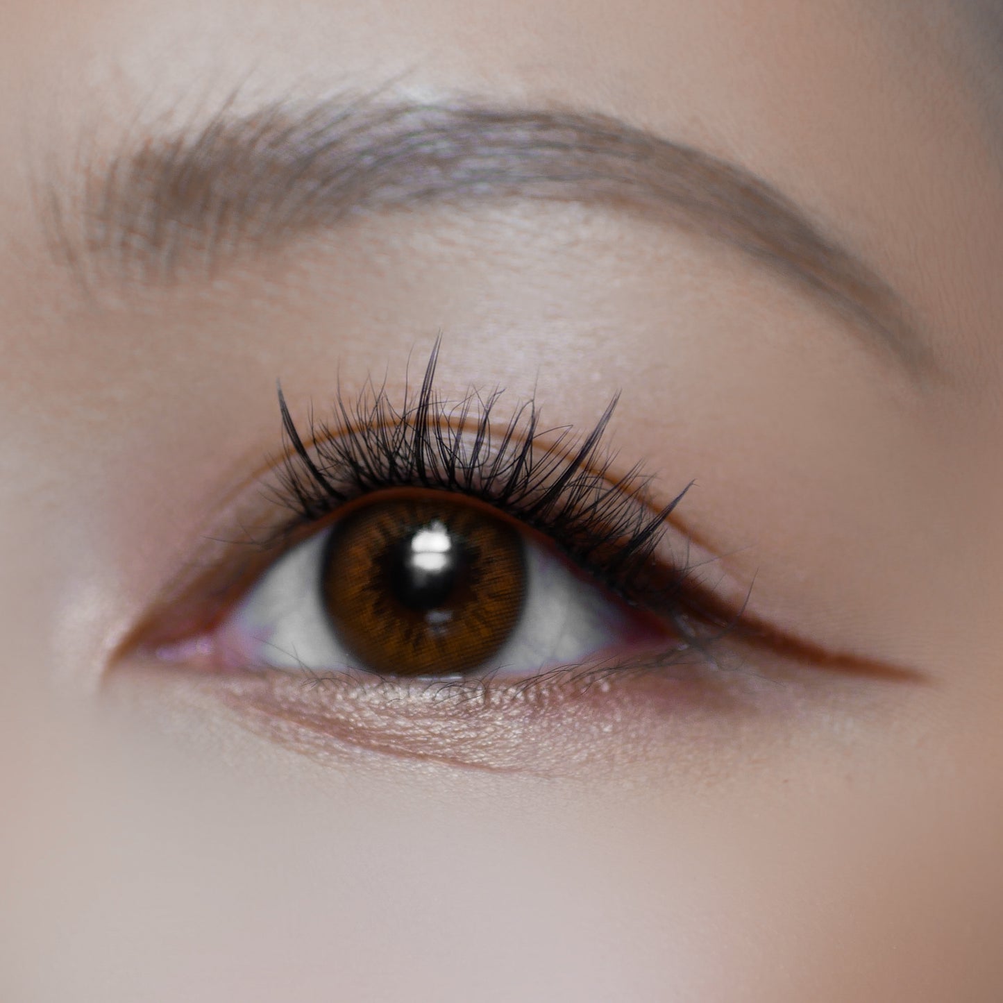 KAITHLYN - Press On Lashes