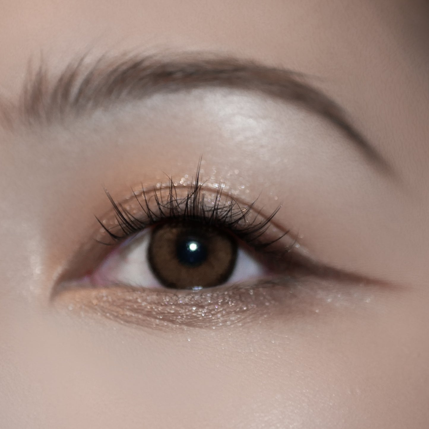 EMILIA - Press On Lashes