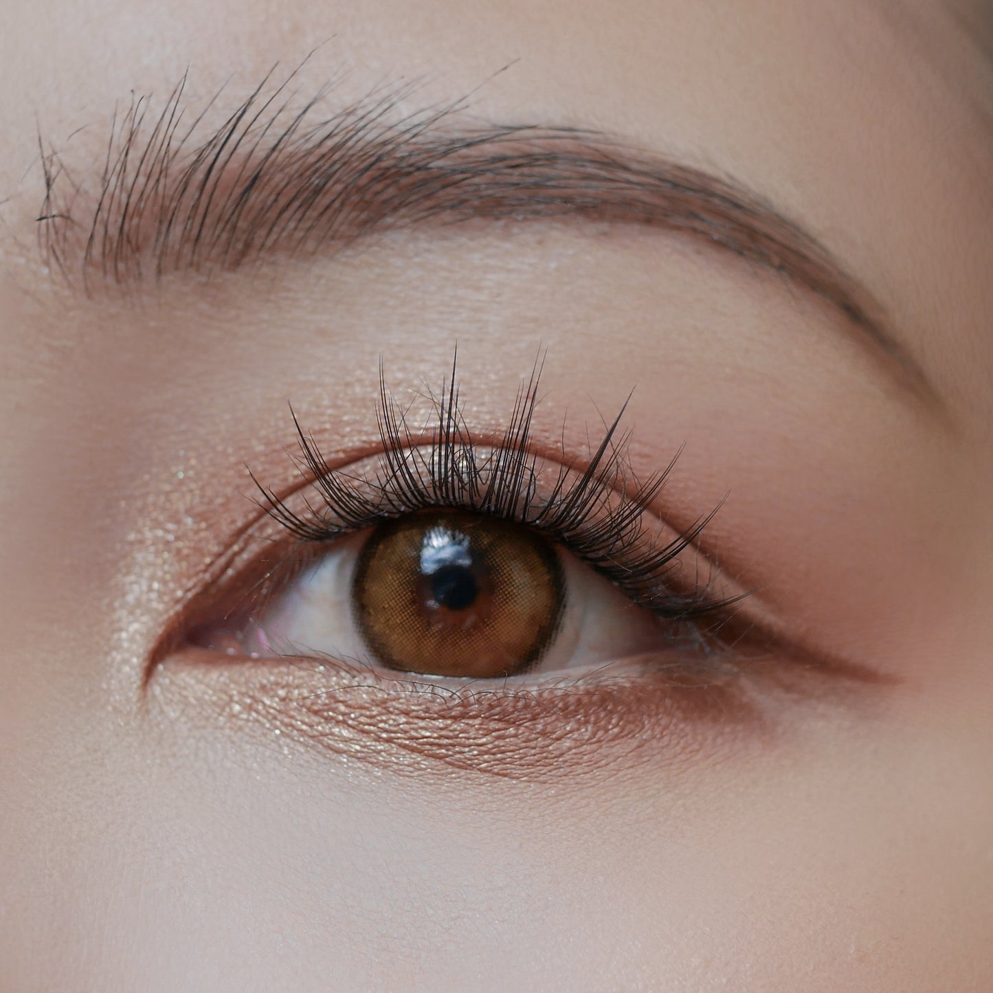 JENNA - Press On Lashes