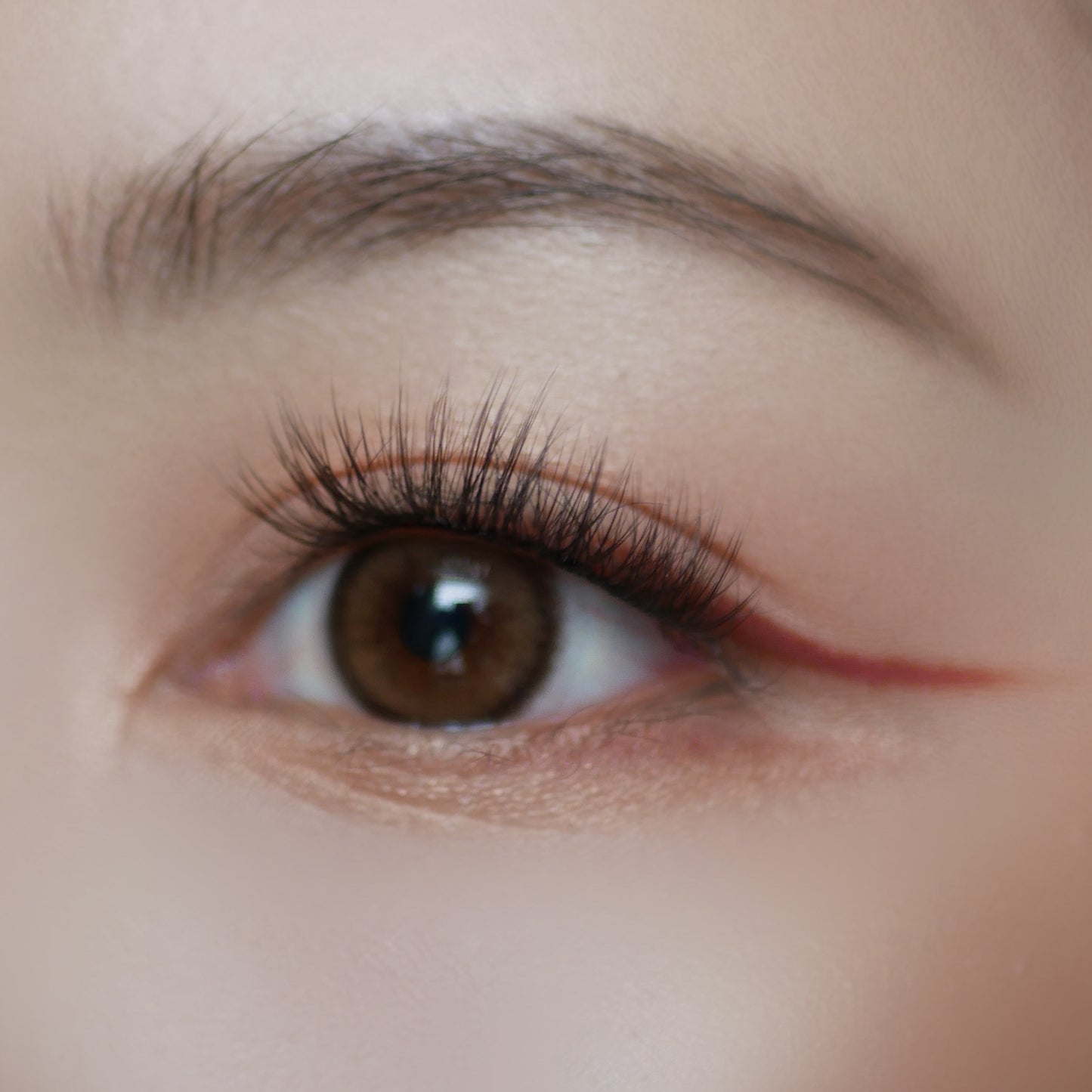CHARLOTTE - Press On Lashes