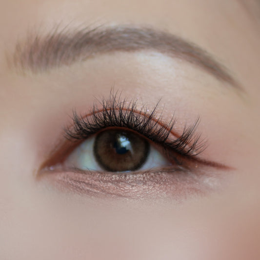 AUDREY - Press On Lashes